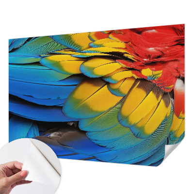 Peel and stick wall mural for living room featuring a rainbow feather design