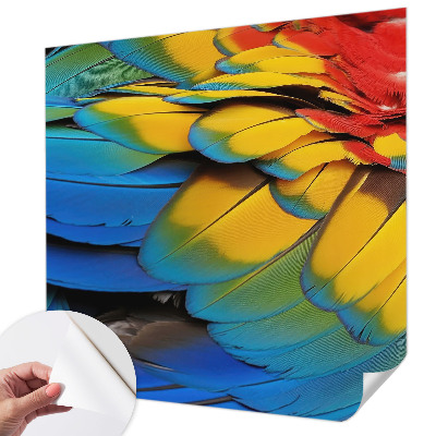 Peel and stick wall mural for living room featuring a rainbow feather design