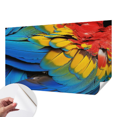 Peel and stick wall mural for living room featuring a rainbow feather design