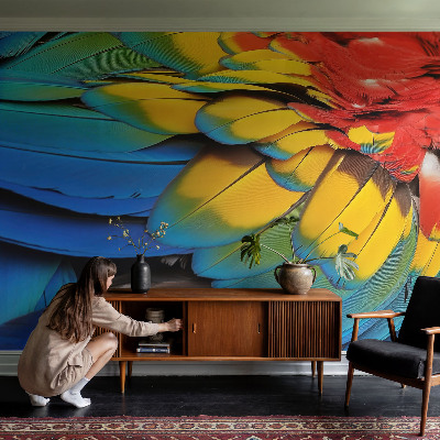 Peel and stick wall mural for living room featuring a rainbow feather design