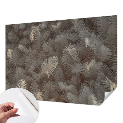 Peel-and-stick wall mural with a frosty twigs design for the living room