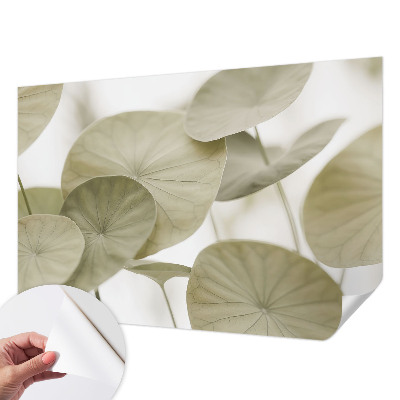 Peel and stick wallpaper mural with a natural elegant design