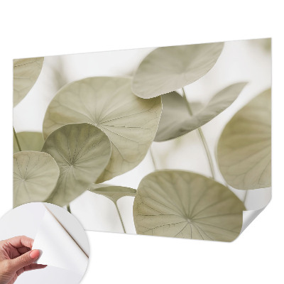 Peel and stick wallpaper mural Natural elegance