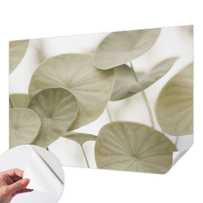 Peel and stick wallpaper mural with a natural elegant design