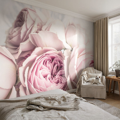 Nursery wall mural Pink roses