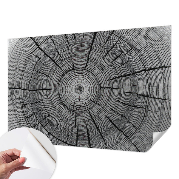 Peel and stick wall mural with a forest harmony design
