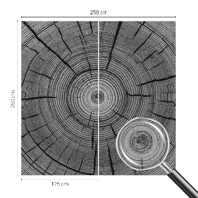Peel and stick wall mural Forest harmony