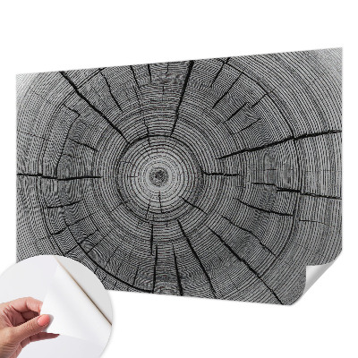 Peel and stick wall mural with a forest harmony design