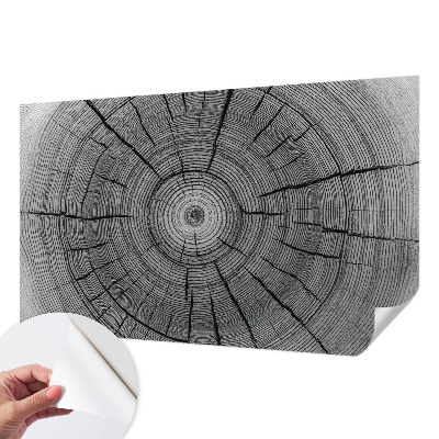 Peel and stick wall mural Forest harmony