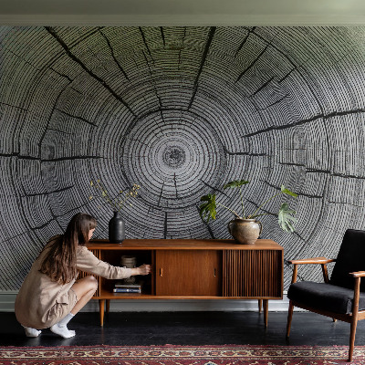 Peel and stick wall mural with a forest harmony design
