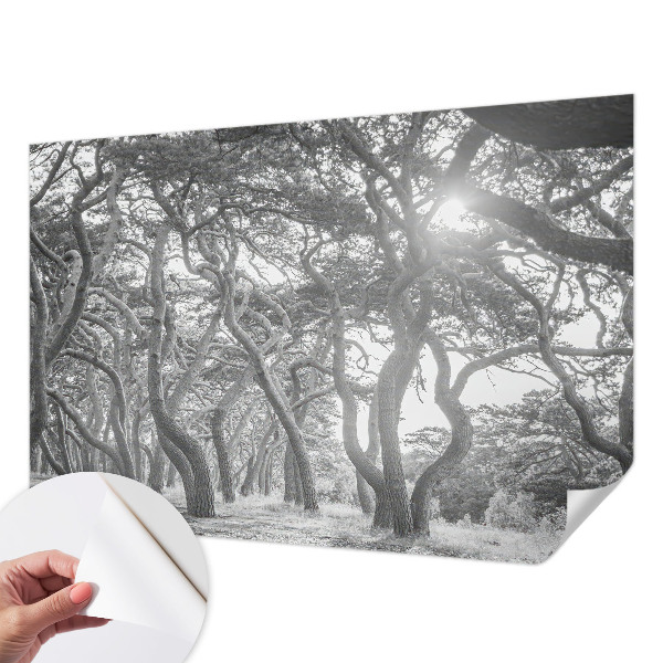 Baby room wall mural with an atmospheric forest motif