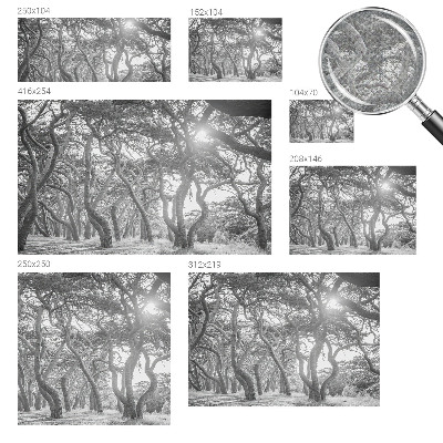 Baby room wall mural with an atmospheric forest motif