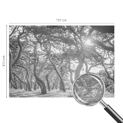 Baby room wall mural with an atmospheric forest motif