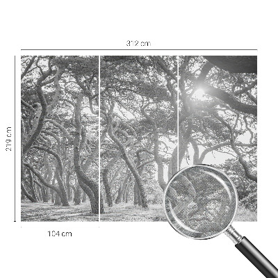 Baby room wall mural with an atmospheric forest motif