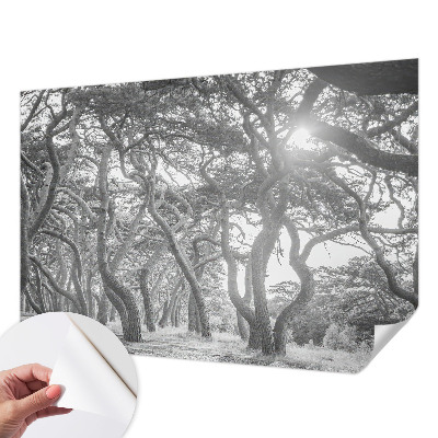 Baby room wall mural with an atmospheric forest motif