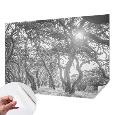 Baby room wall mural with an atmospheric forest motif