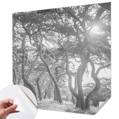 Baby room wall mural with an atmospheric forest motif