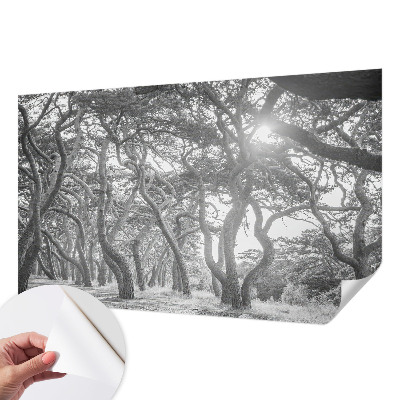 Baby room wall mural with an atmospheric forest motif
