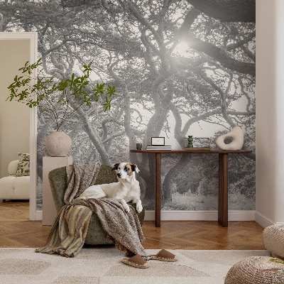 Baby room wall mural with an atmospheric forest motif