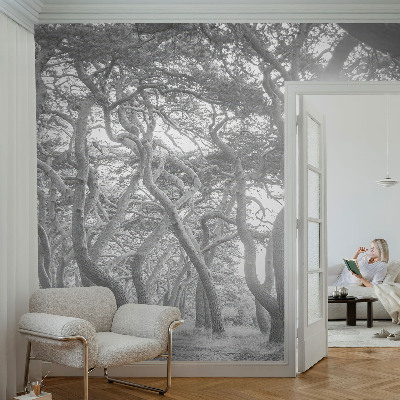 Baby room wall mural Atmospheric forest