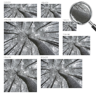 Self-adhesive photo wallpaper with a winter landscape motif