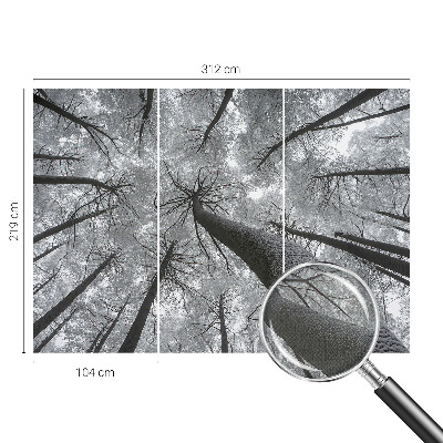 Self-adhesive photo wallpaper with a winter landscape motif