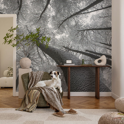 Self-adhesive photo wallpaper Winter landscape