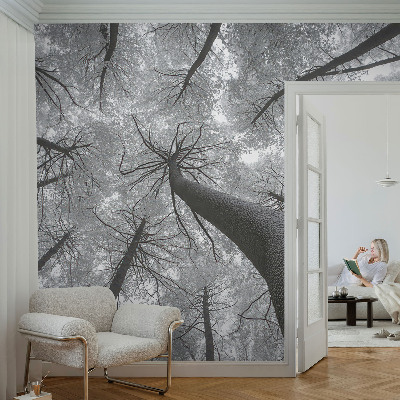 Self-adhesive photo wallpaper with a winter landscape motif
