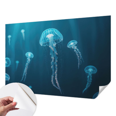 Removable wall mural wallpaper with a maritime elegance design