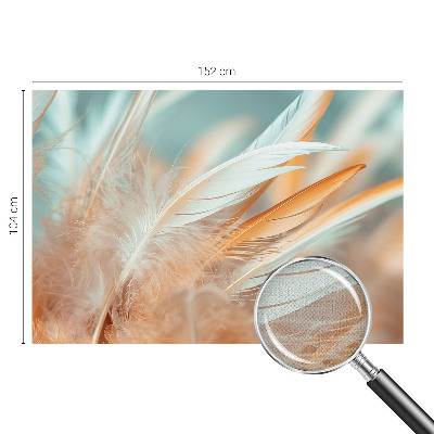 Peel and stick wall mural for living room Delicate feathers