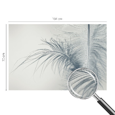 3D photo wallpaper mural with a delicate feather motif