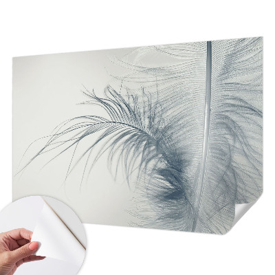 3D photo wallpaper mural with a delicate feather motif
