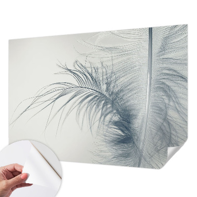 3D photo wallpaper mural with a delicate feather motif