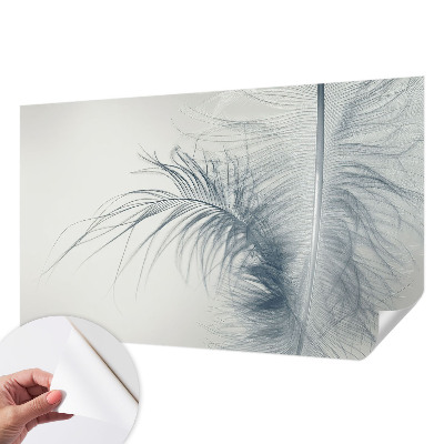 3D photo wallpaper mural with a delicate feather motif