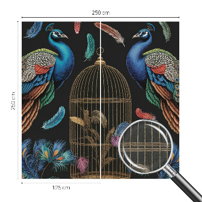 3D wall mural Exotic peacocks
