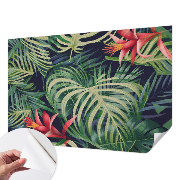Peel and stick wall mural Exotic plants