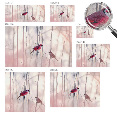 Self-adhesive photo wallpaper with a pair of birds motif