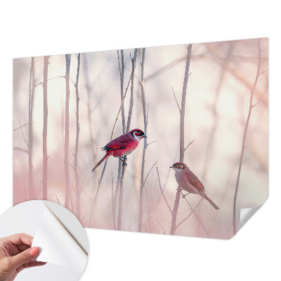 Self-adhesive photo wallpaper Bird couple