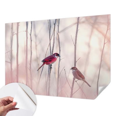 Self-adhesive photo wallpaper with a pair of birds motif