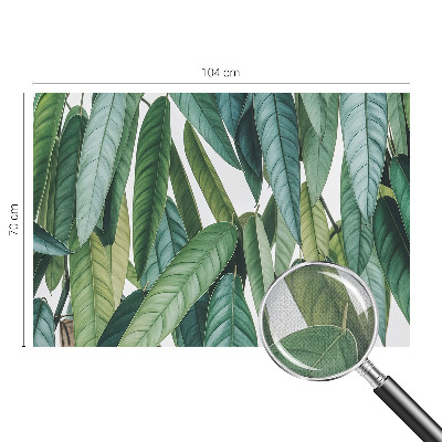 Peel and stick wall mural with a natural leaves design suitable for living rooms