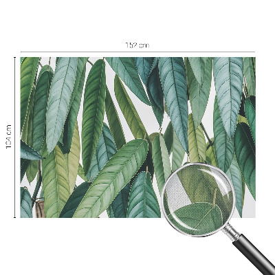 Peel and stick wall mural with a natural leaves design suitable for living rooms