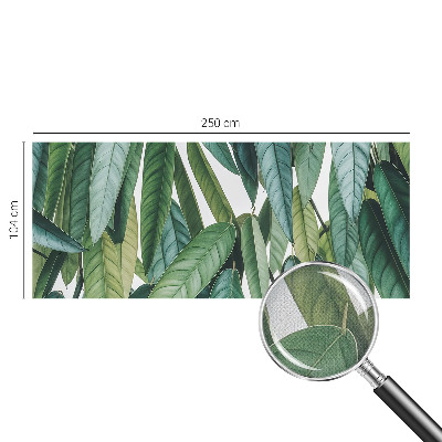 Peel and stick wall mural with a natural leaves design suitable for living rooms