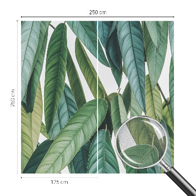 Peel and stick wall mural with a natural leaves design suitable for living rooms