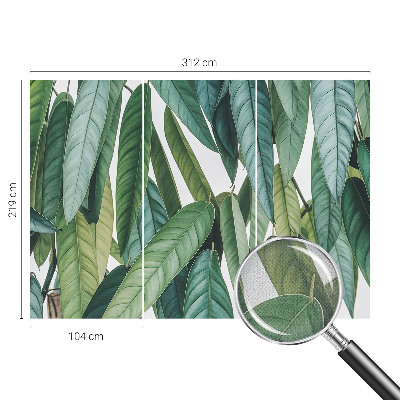 Peel and stick wall mural with a natural leaves design suitable for living rooms