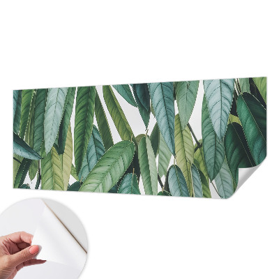 Peel and stick wall mural with a natural leaves design suitable for living rooms