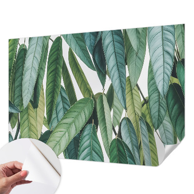 Peel and stick wall mural with a natural leaves design suitable for living rooms