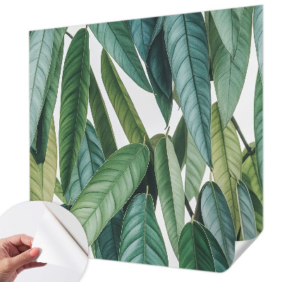 Peel and stick wall mural with a natural leaves design suitable for living rooms