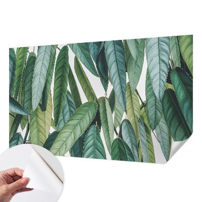 Peel and stick wall mural with a natural leaves design suitable for living rooms