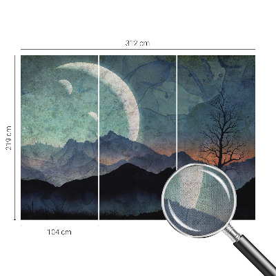 Self-adhesive wall mural Night landscape