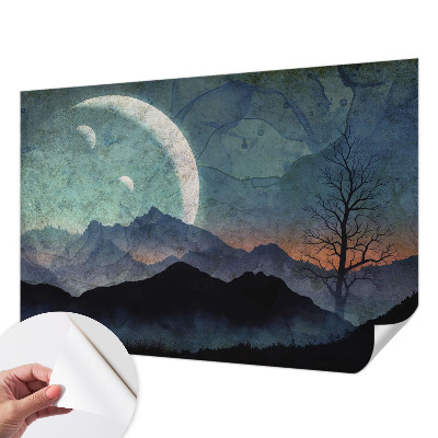 Self-adhesive wall mural Night landscape